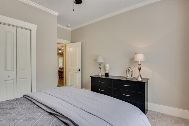 carpeted bedroom with a closet, ornamental molding, and ceiling fan