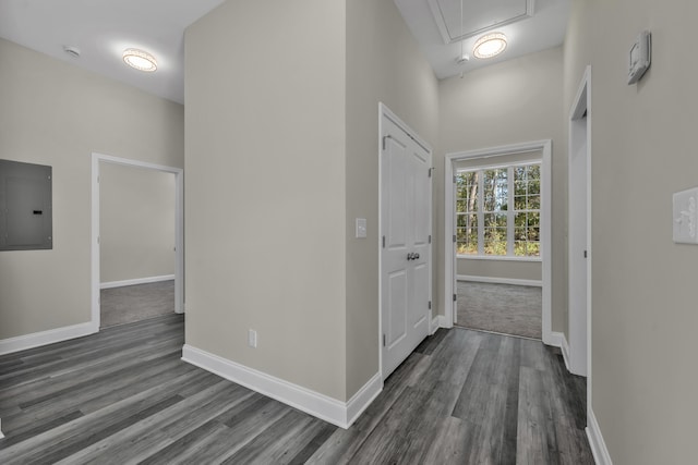 hall featuring dark wood-type flooring and electric panel