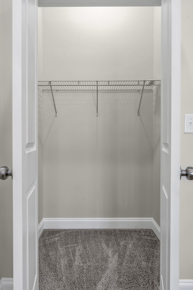 walk in closet featuring carpet flooring