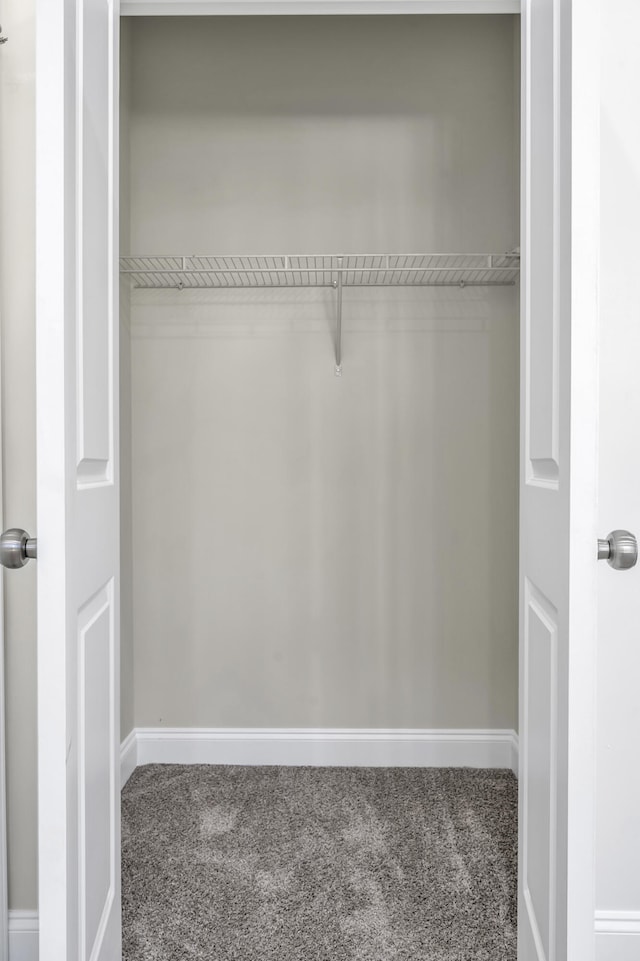 view of closet