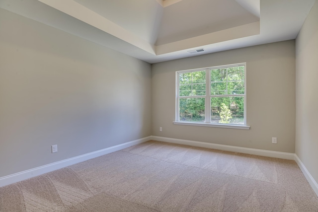 spare room with carpet and a raised ceiling