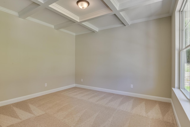 spare room with beam ceiling, crown molding, carpet, and coffered ceiling