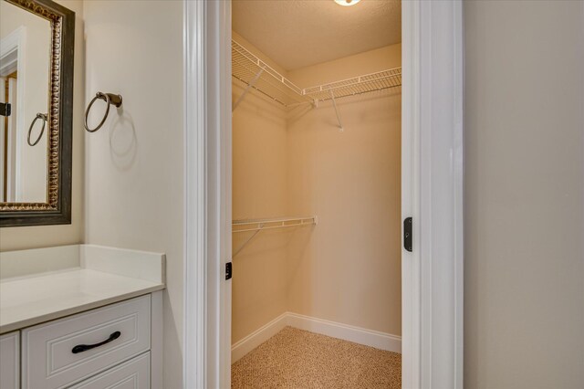 272 Harvester Dr, North Augusta, SC 29860 - walk in closet featuring light carpet