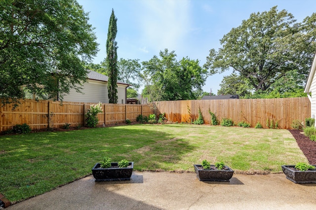 view of yard with a patio area