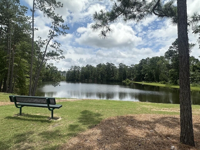 6065 Big Pond Trl, Grovetown, GA 30813 - photo 43