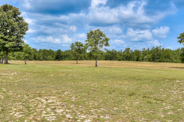 view of yard with a rural view