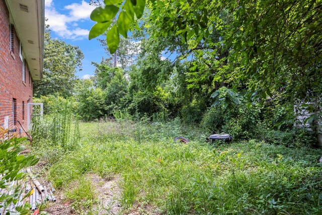 102 Briarcliff St, Belvedere, SC 29841 - view of yard