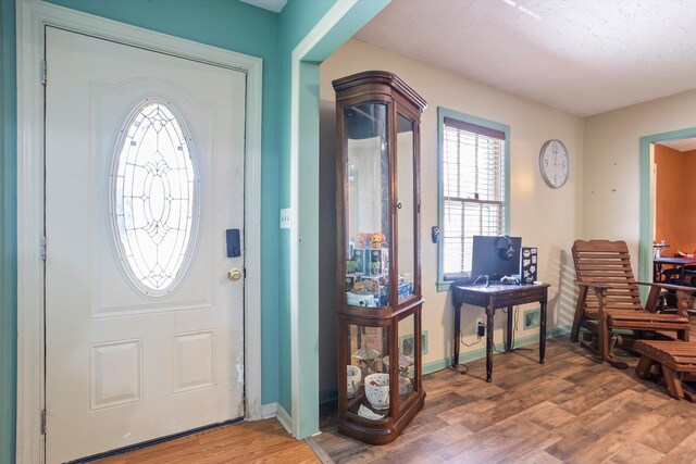 102 Briarcliff St, Belvedere, SC 29841 - foyer entrance with light wood finished floors and baseboards