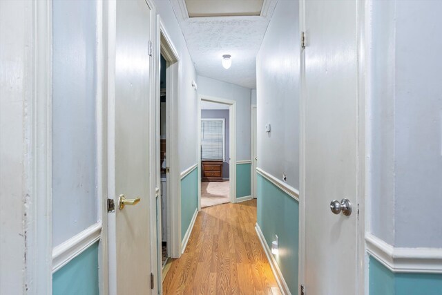 102 Briarcliff St, Belvedere, SC 29841 - corridor featuring light wood-type flooring and a textured ceiling