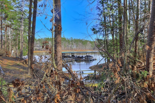 view of dock with a water view