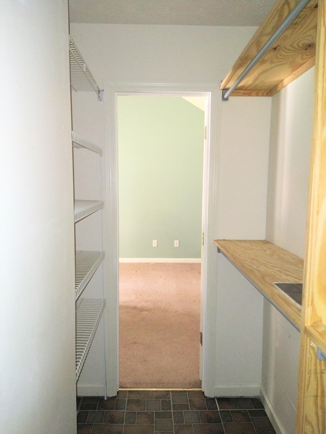 526 Timberchase Ln, Aiken, SC 29803 - walk in closet featuring dark colored carpet