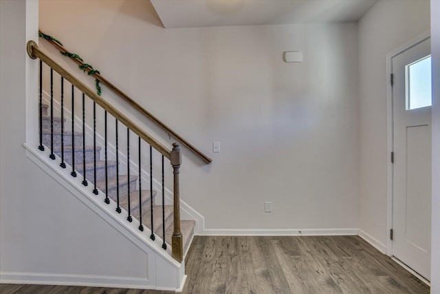 foyer entrance with wood-type flooring