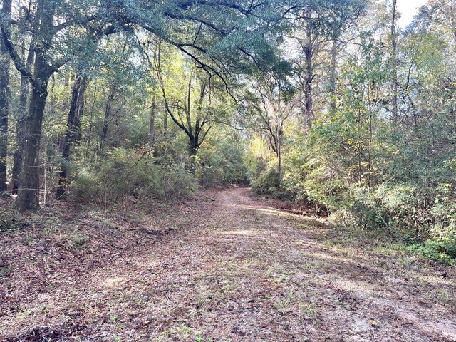 00 Francesca Dr, Girard, GA 30426