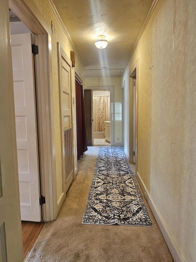 hallway featuring crown molding, light colored carpet, a textured wall, a textured ceiling, and baseboards