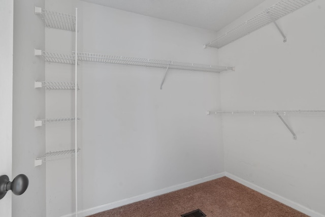 5131 Deans Bridge Rd, Blythe, GA 30805 - walk in closet with carpet