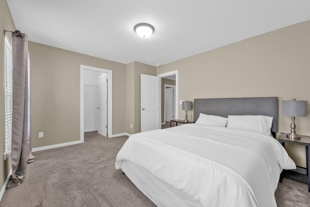 532 Bunchgrass St, Evans, GA 30809 - bedroom with carpet, baseboards, and a spacious closet