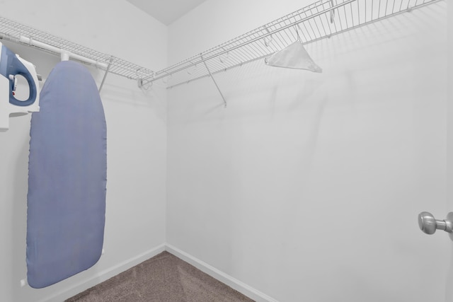 532 Bunchgrass St, Evans, GA 30809 - spacious closet with carpet