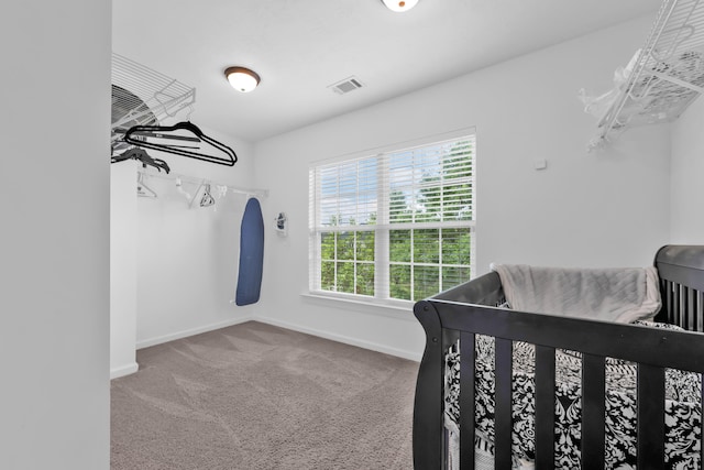 532 Bunchgrass St, Evans, GA 30809 - carpeted bedroom featuring multiple windows and baseboards