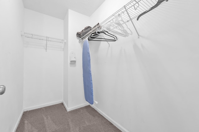 532 Bunchgrass St, Evans, GA 30809 - spacious closet with carpet floors