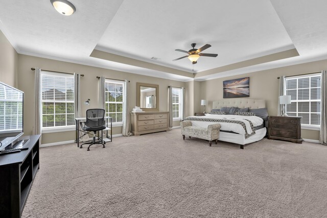 532 Bunchgrass St, Evans, GA 30809 - bedroom featuring a raised ceiling, carpet floors, baseboards, and a ceiling fan