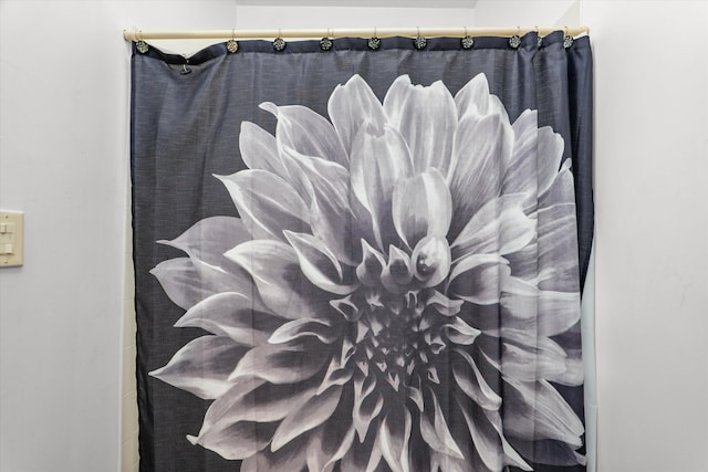 interior details with a shower with shower curtain
