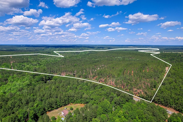 00 Columbia Highway N, Ridge Spring SC, 29129 land for sale