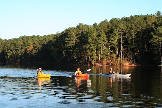 water view featuring a dock and a wooded view