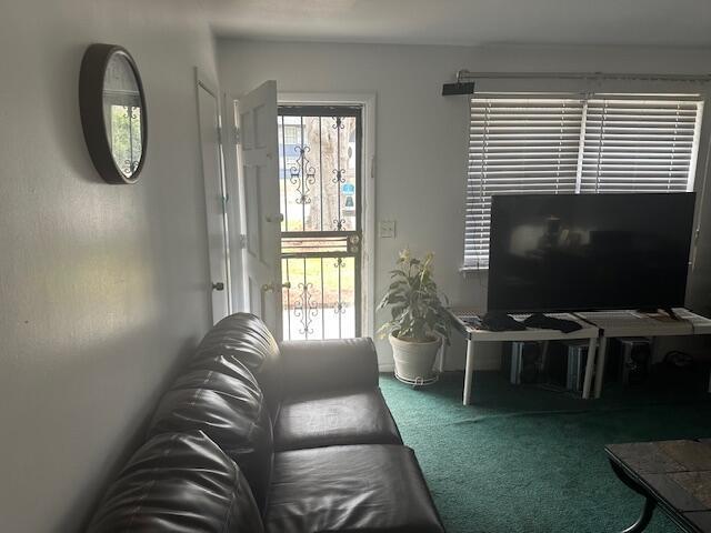 living area with carpet floors and plenty of natural light