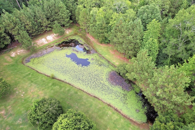 2946 Upper Mill Rd, Mccormick, SC 29835 - photo 71