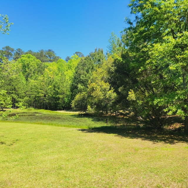 2946 Upper Mill Rd, Mccormick, SC 29835 - view of grassy yard