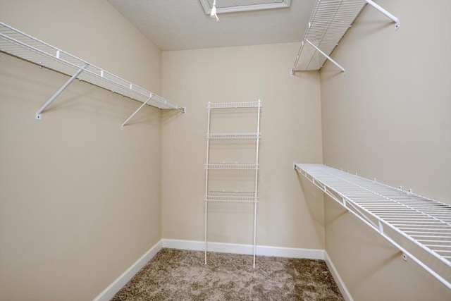 101 York Way, Augusta, GA 30909 - photo 20