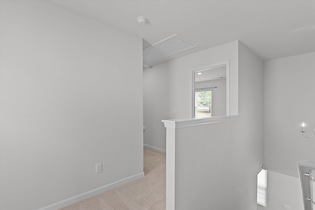 2965 Calli Crossing Dr, Graniteville, SC 29829 - hallway with attic access, carpet flooring, and an upstairs landing
