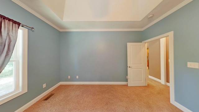 carpeted spare room with a healthy amount of sunlight, crown molding, and a raised ceiling