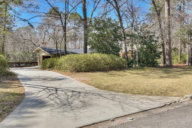 view of community featuring concrete driveway and a yard