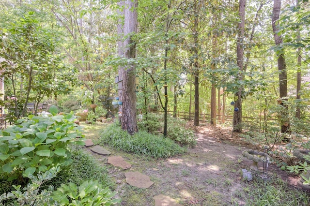 24 Juniper Loop, Aiken, SC 29803 - photo 40