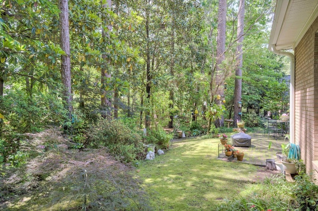 24 Juniper Loop, Aiken, SC 29803 - photo 43