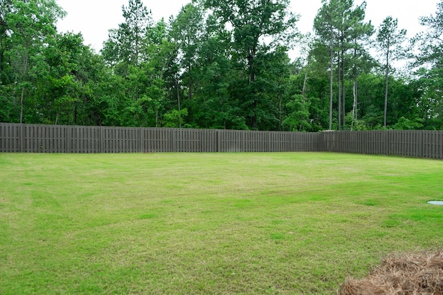 593 Broadsword Way, Graniteville, SC 29829 - photo 60