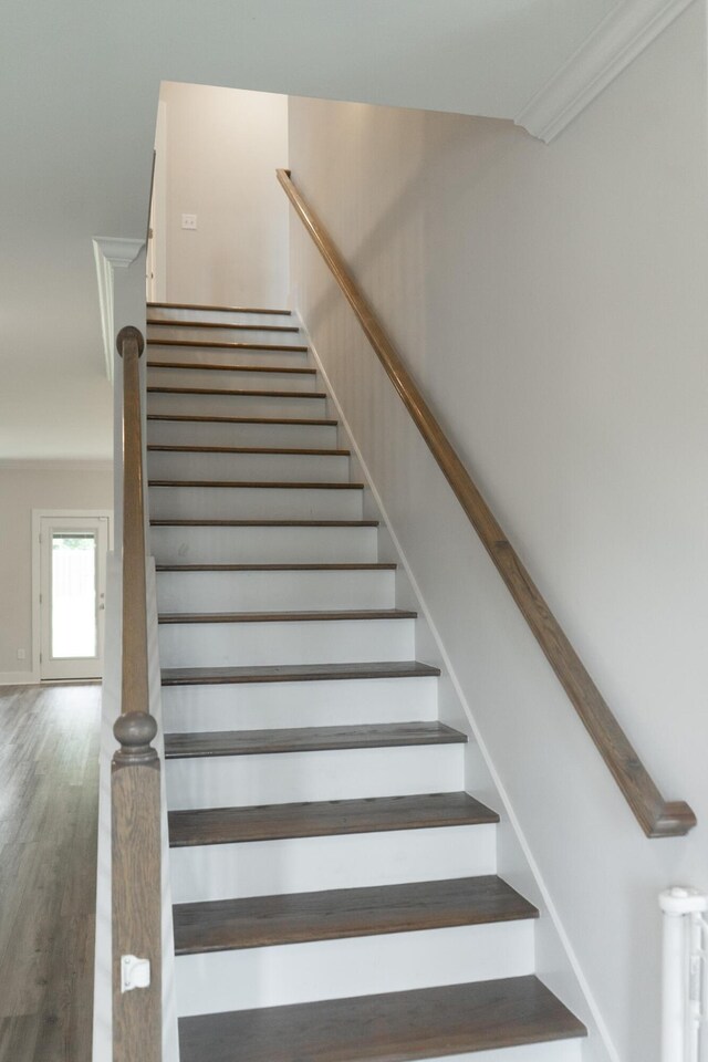 593 Broadsword Way, Graniteville, SC 29829 - photo 27