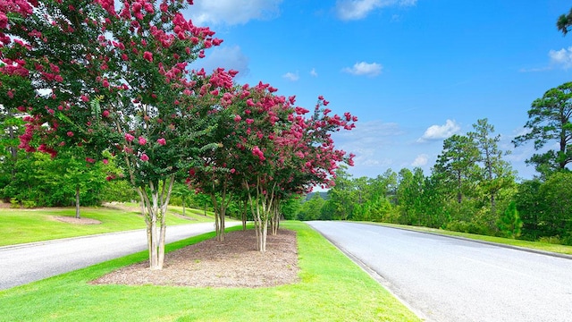 view of road with curbs