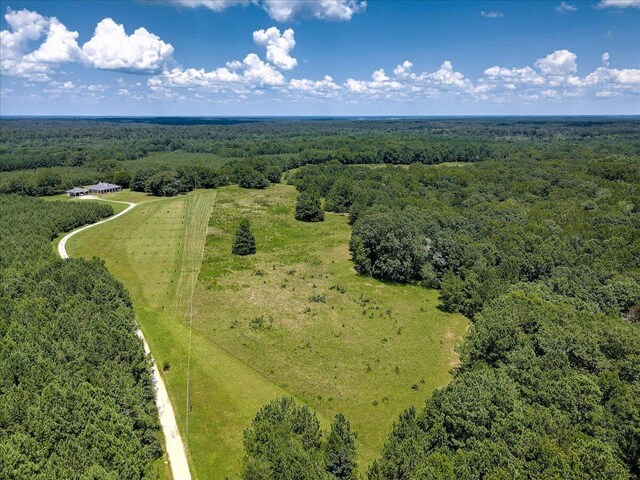 6925 Cobbham Rd, Appling, GA 30802 - photo 12