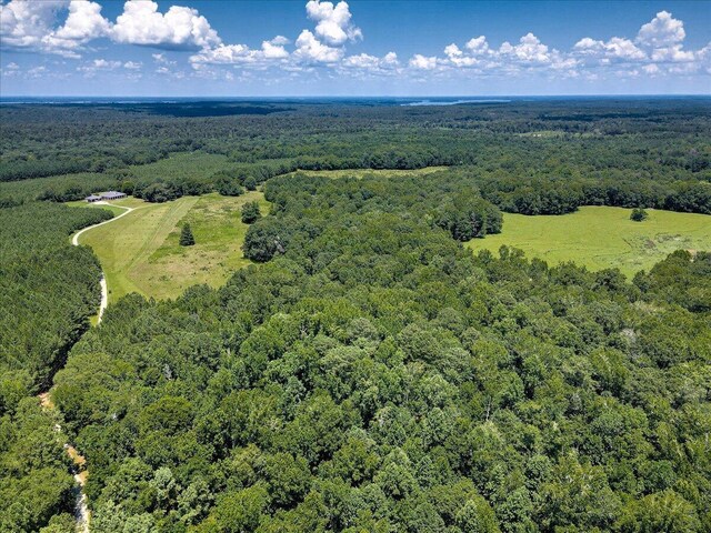 6925 Cobbham Rd, Appling, GA 30802 - photo 11