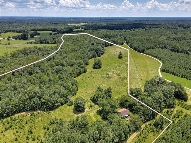 6925 Cobbham Rd, Appling, GA 30802 - photo 2
