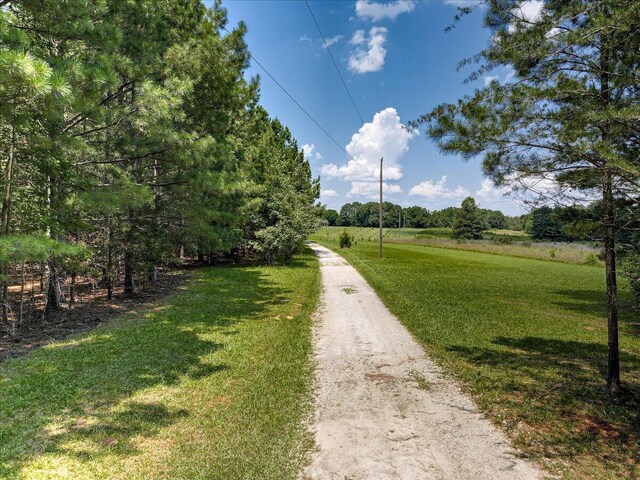 6925 Cobbham Rd, Appling, GA 30802 - photo 5