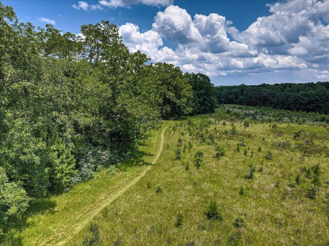 6925 Cobbham Rd, Appling, GA 30802 - photo 10