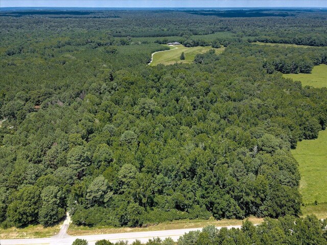 6925 Cobbham Rd, Appling, GA 30802 - photo 4