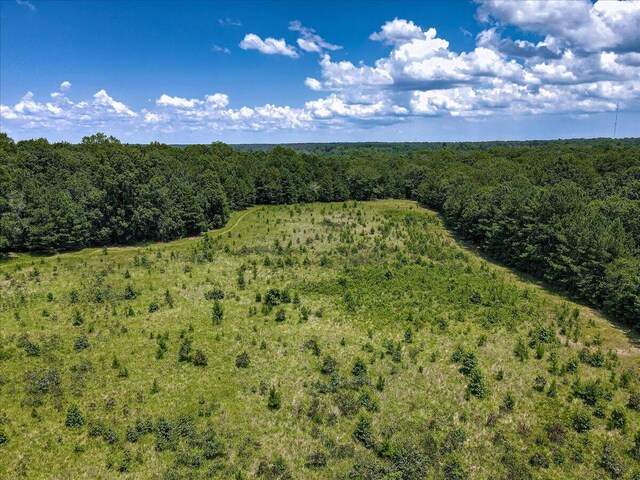 6925 Cobbham Rd, Appling, GA 30802 - photo 14