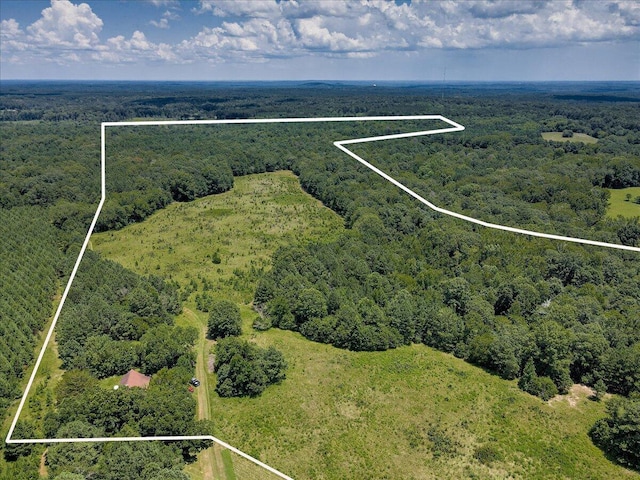6925 Cobbham Rd, Appling, GA 30802 - photo 1