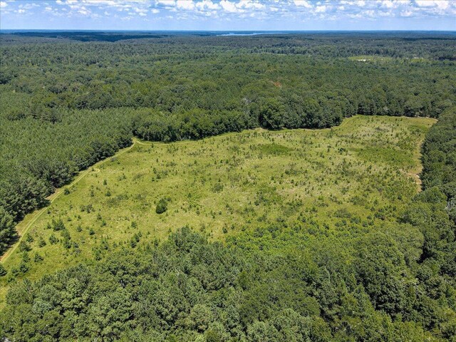 6925 Cobbham Rd, Appling, GA 30802 - photo 13
