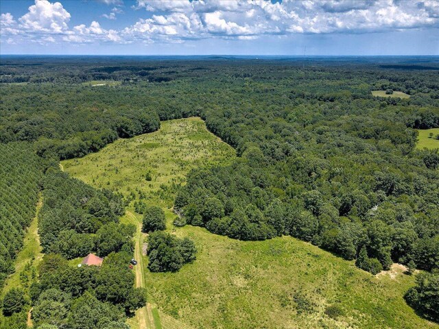 6925 Cobbham Rd, Appling, GA 30802 - photo 3