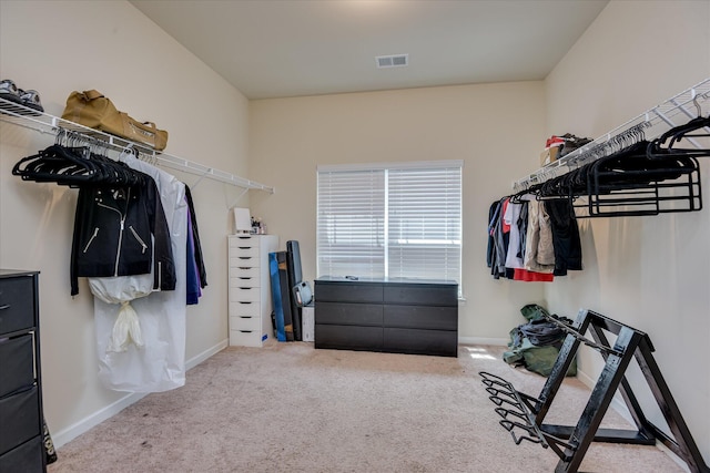 336 Shell Brooke Way, Lexington, SC 29073 - walk in closet with carpet